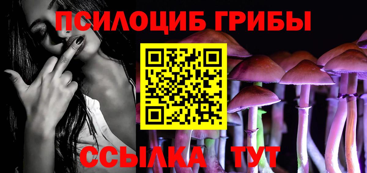 Галлюциногенные грибы Magic Shrooms Югорск
